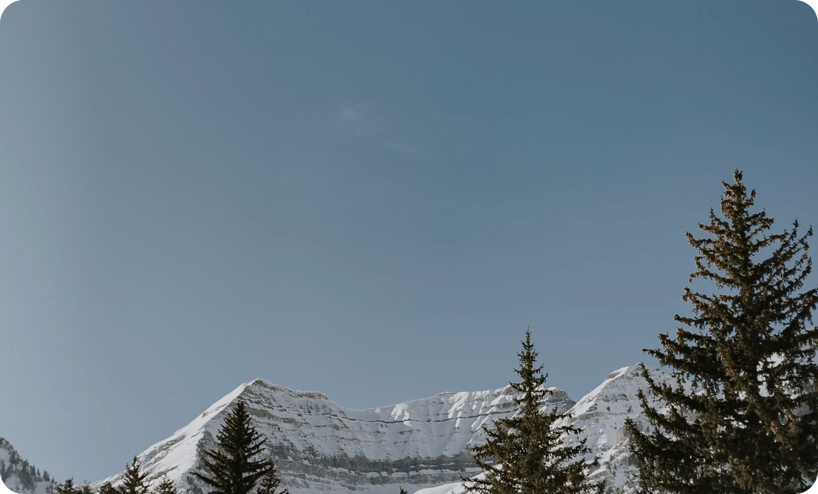 Canyon View Software